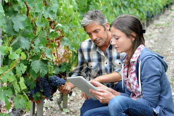 Wine Buyers @ Sourcing Office in Italy